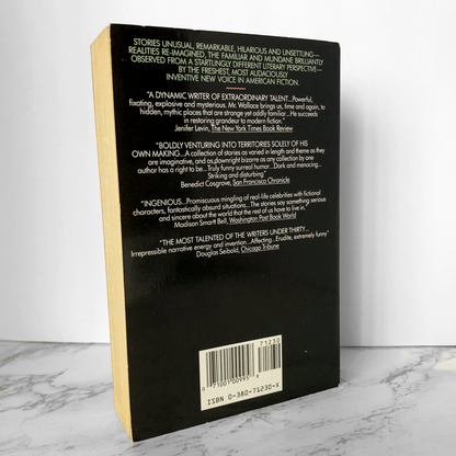 Girl With Curious Hair by David Foster Wallace [FIRST PAPERBACK PRINTING] - Bookshop Apocalypse