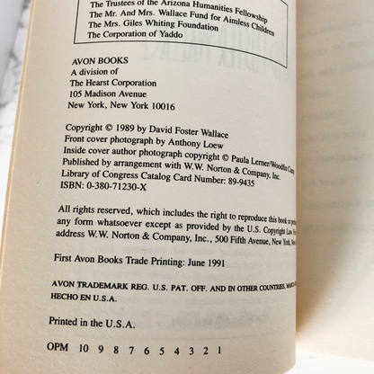 Girl With Curious Hair by David Foster Wallace [FIRST PAPERBACK PRINTING] - Bookshop Apocalypse