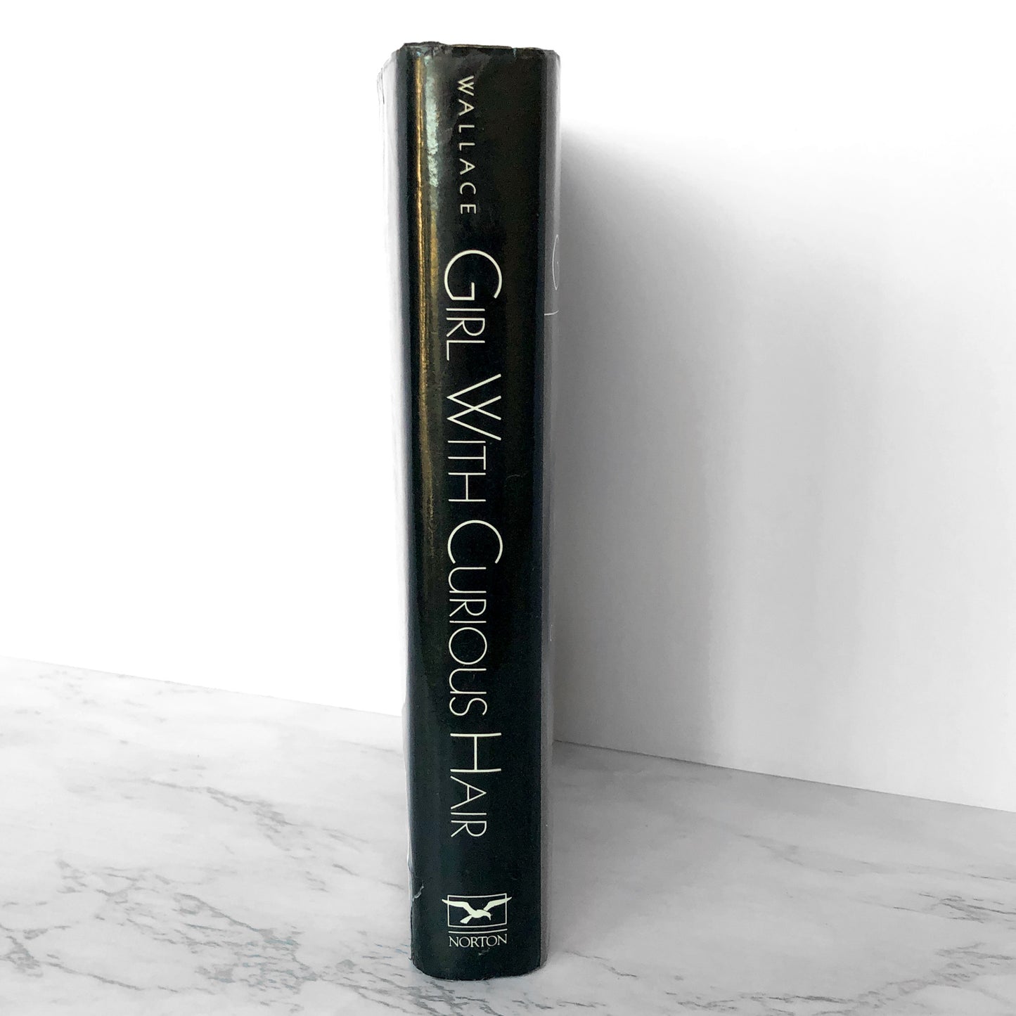 Girl With Curious Hair by David Foster Wallace [FIRST EDITION / FIRST PRINTING] 1989