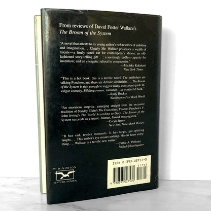 Girl With Curious Hair by David Foster Wallace [FIRST EDITION / FIRST PRINTING] 1989
