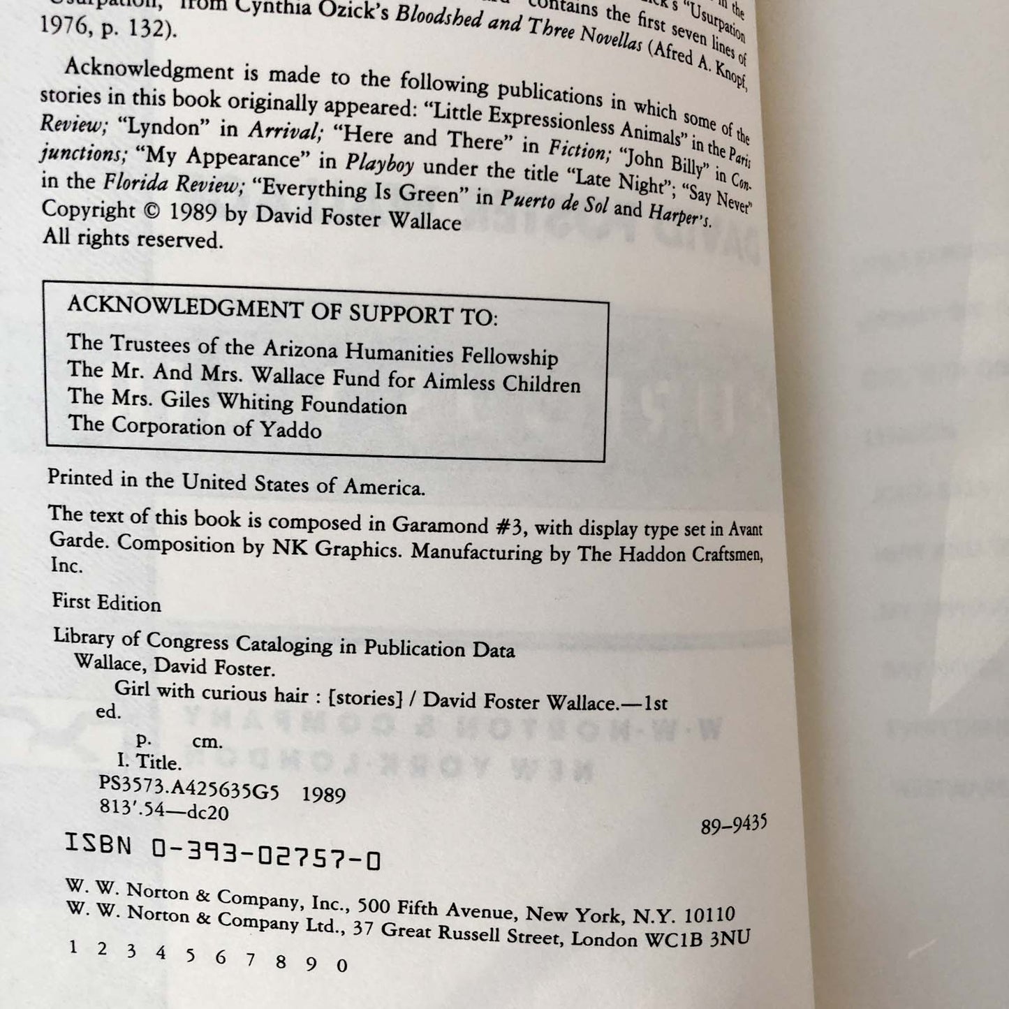 Girl With Curious Hair by David Foster Wallace [FIRST EDITION / FIRST PRINTING] 1989