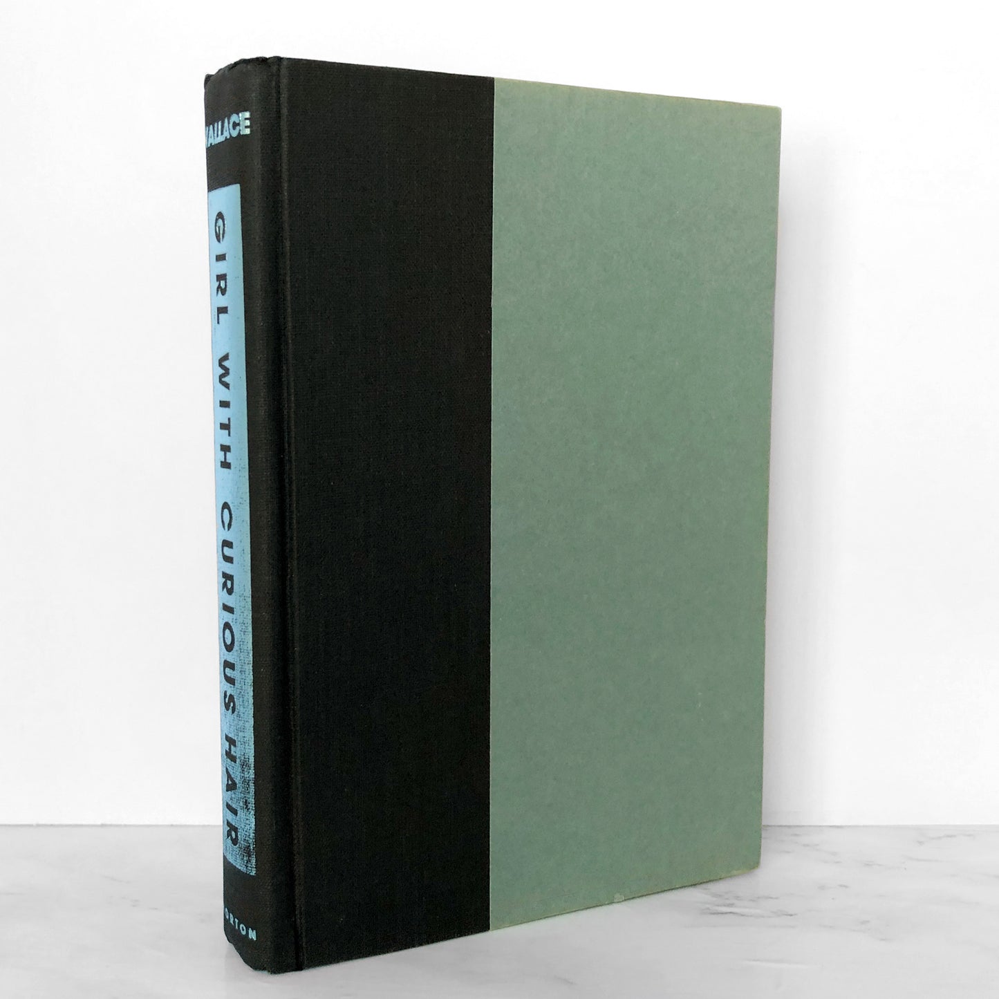 Girl With Curious Hair by David Foster Wallace [FIRST EDITION / FIRST PRINTING] 1989