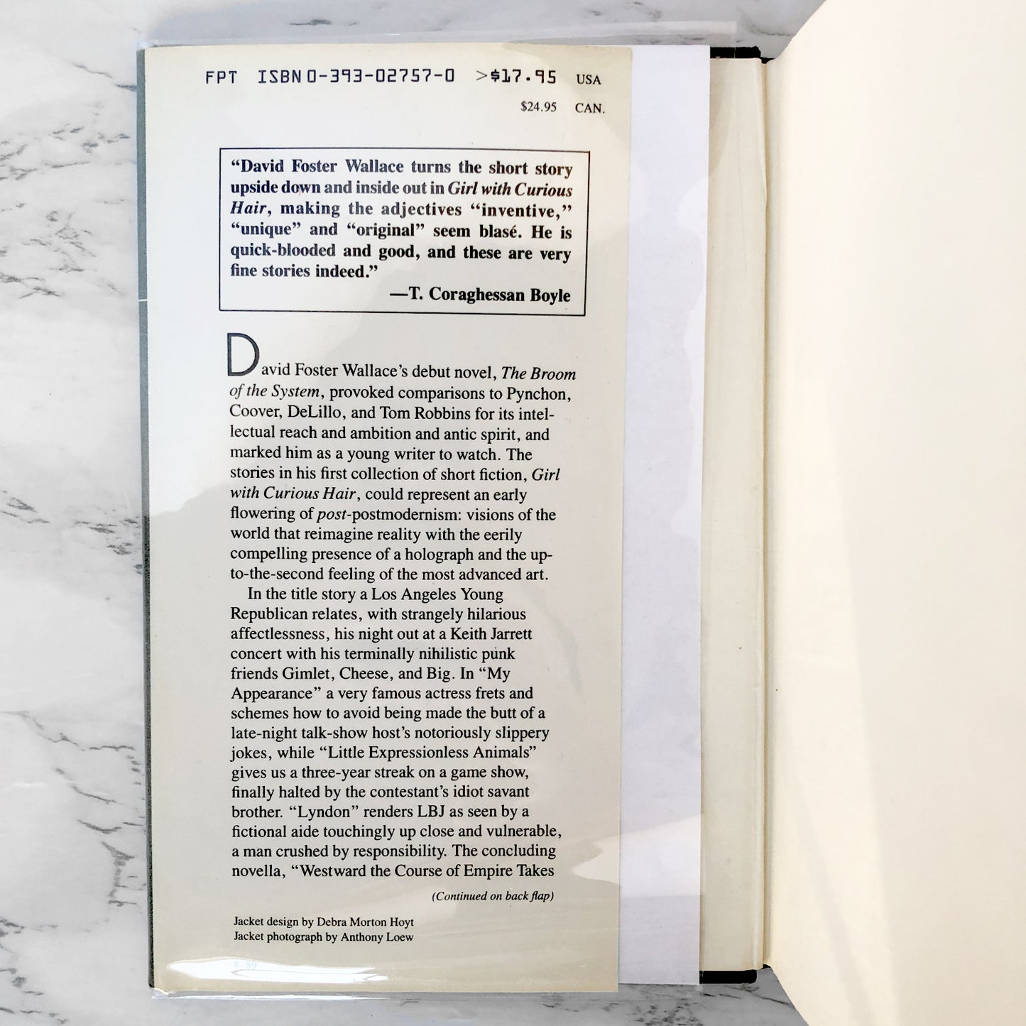 Girl With Curious Hair by David Foster Wallace [FIRST EDITION / FIRST PRINTING] 1989