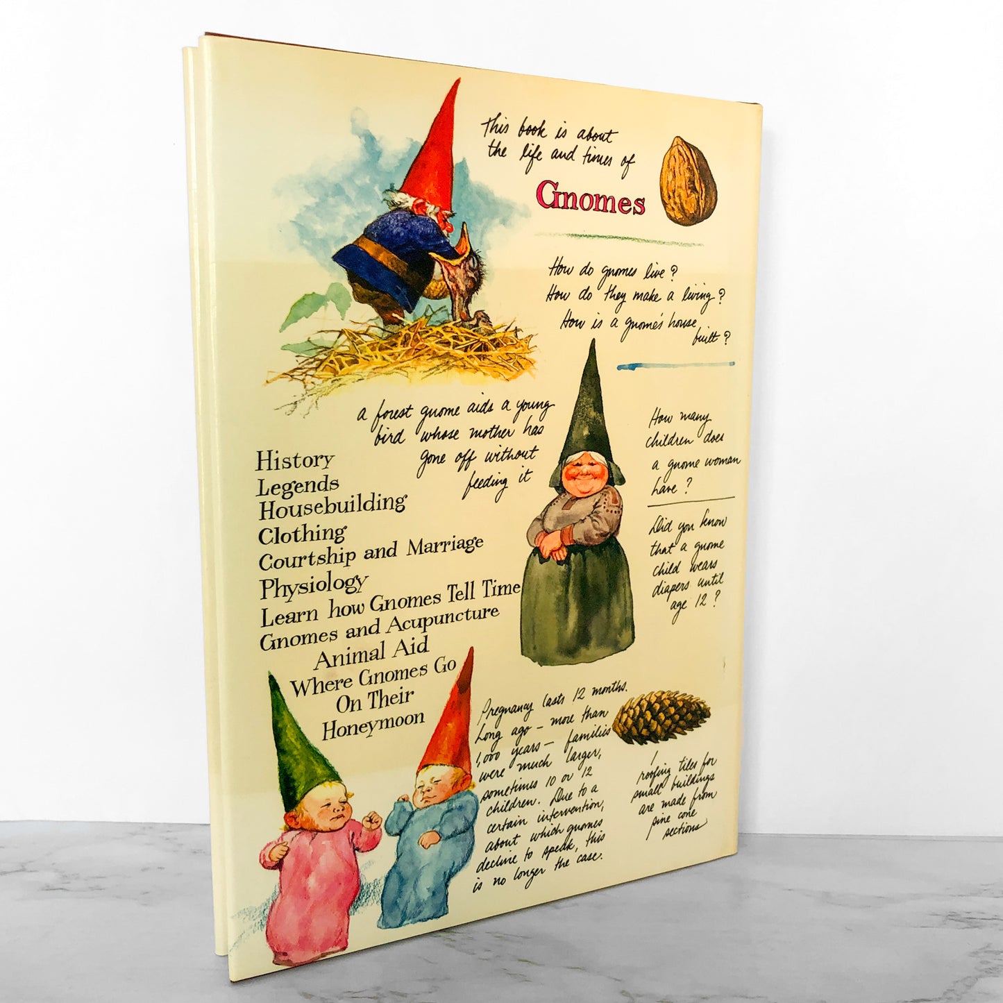 Gnomes by Wil Huygen & Rien Poortvliet [FIRST EDITION] 1977