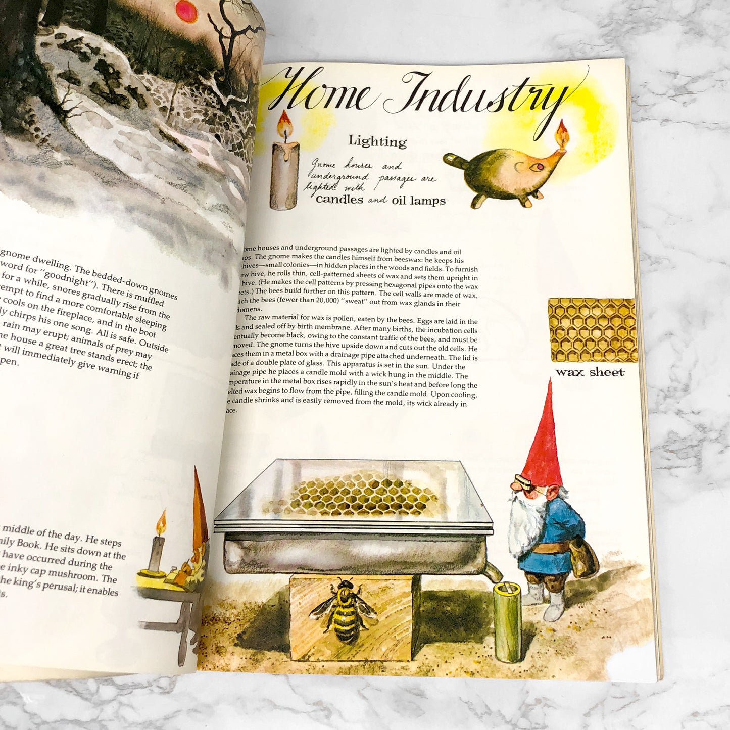 Gnomes by Wil Huygen & Rien Poortvliet [FIRST PAPERBOUND EDITION] 1979 • Peacock Press