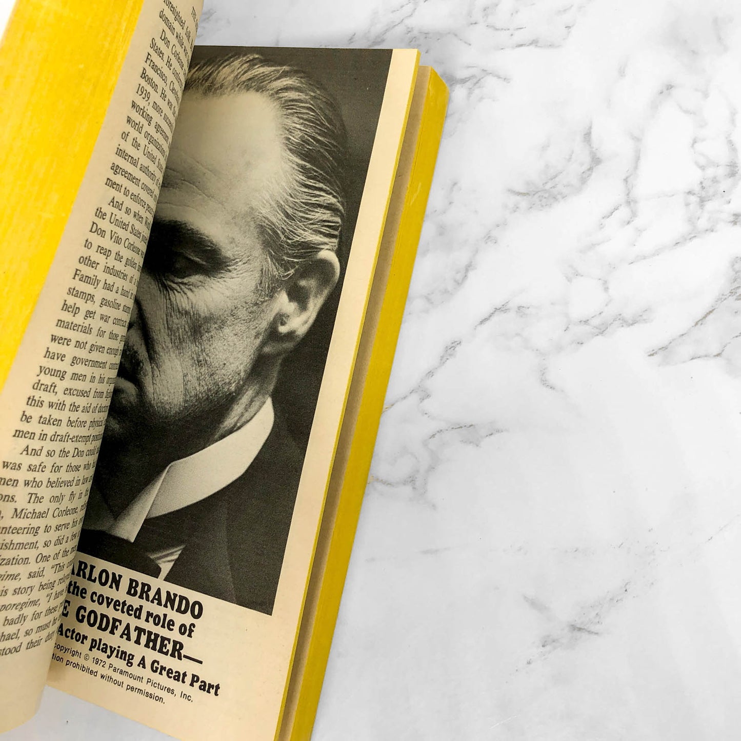 The Godfather by Mario Puzo [1972 MOVIE TIE-IN PAPERBACK]