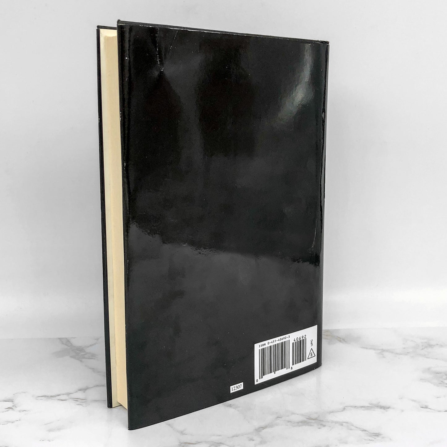 Goodbye My Little Ones by Charles Hickey, Todd Lighty & John O'Brien [FIRST EDITION HARDCOVER] 1996