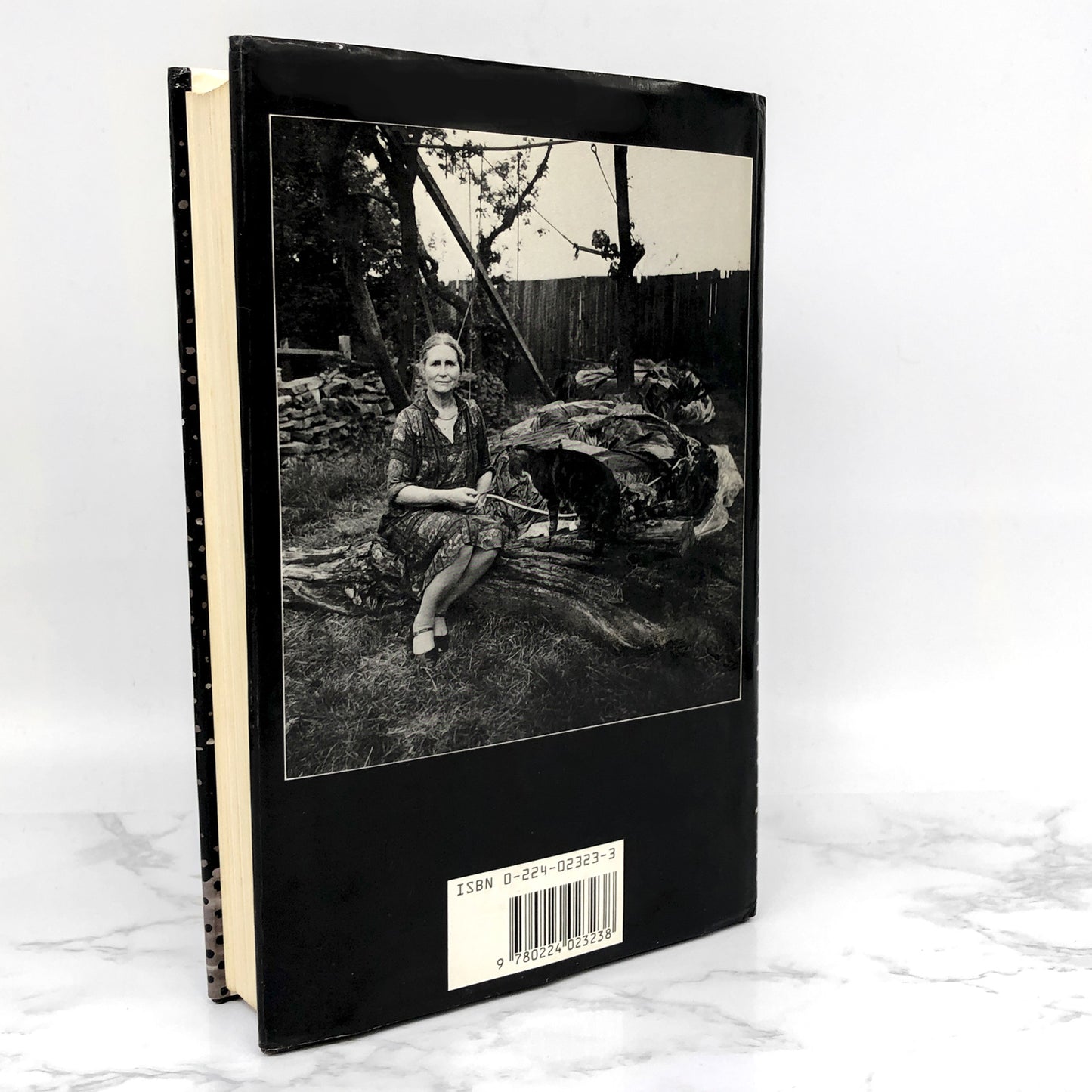 The Good Terrorist by Doris Lessing [U.K. FIRST EDITION • FIRST PRINTING] 1985 • Jonathan Cape