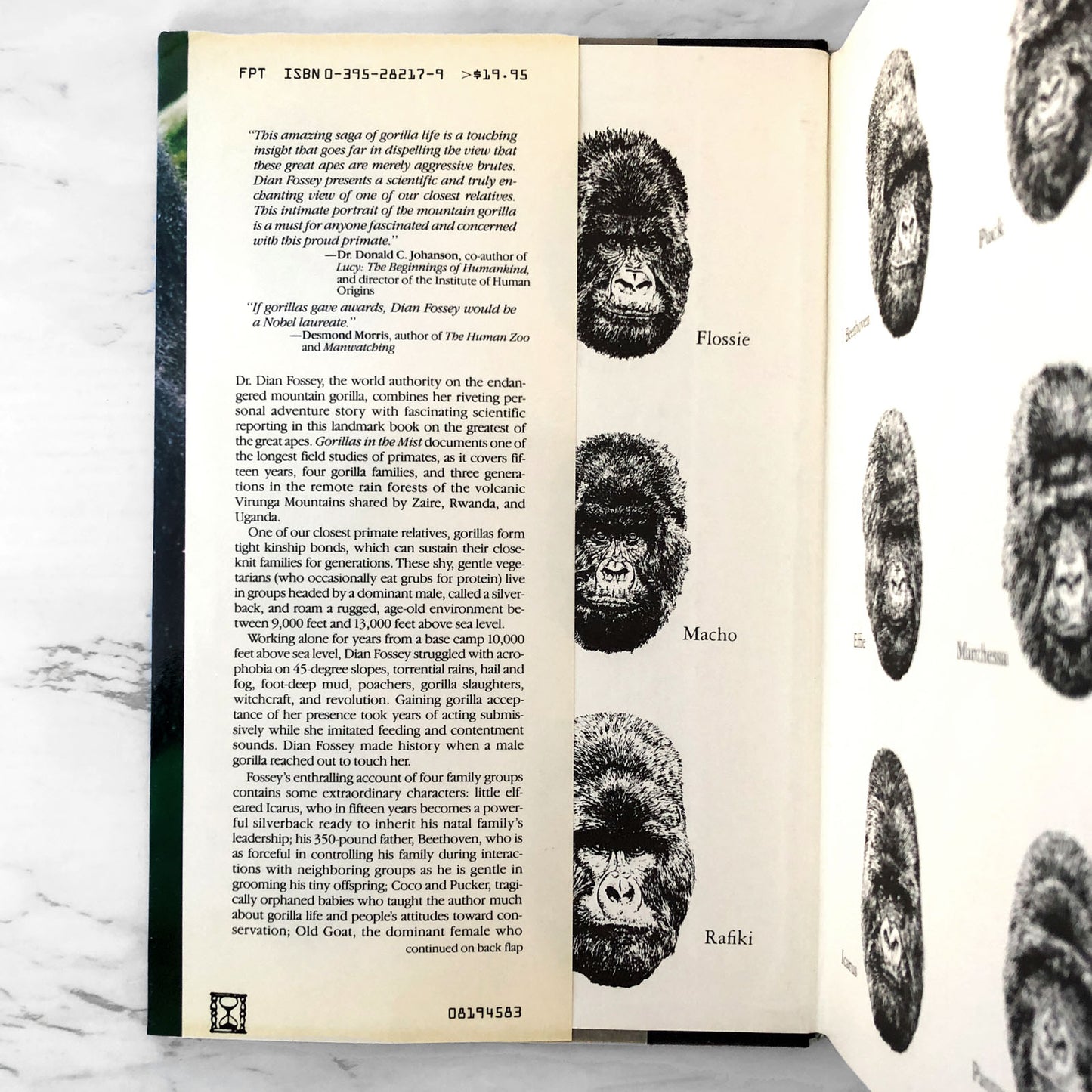 Gorillas in the Mist by Dian Fossey [FIRST EDITION] 1983 w/ Extras!