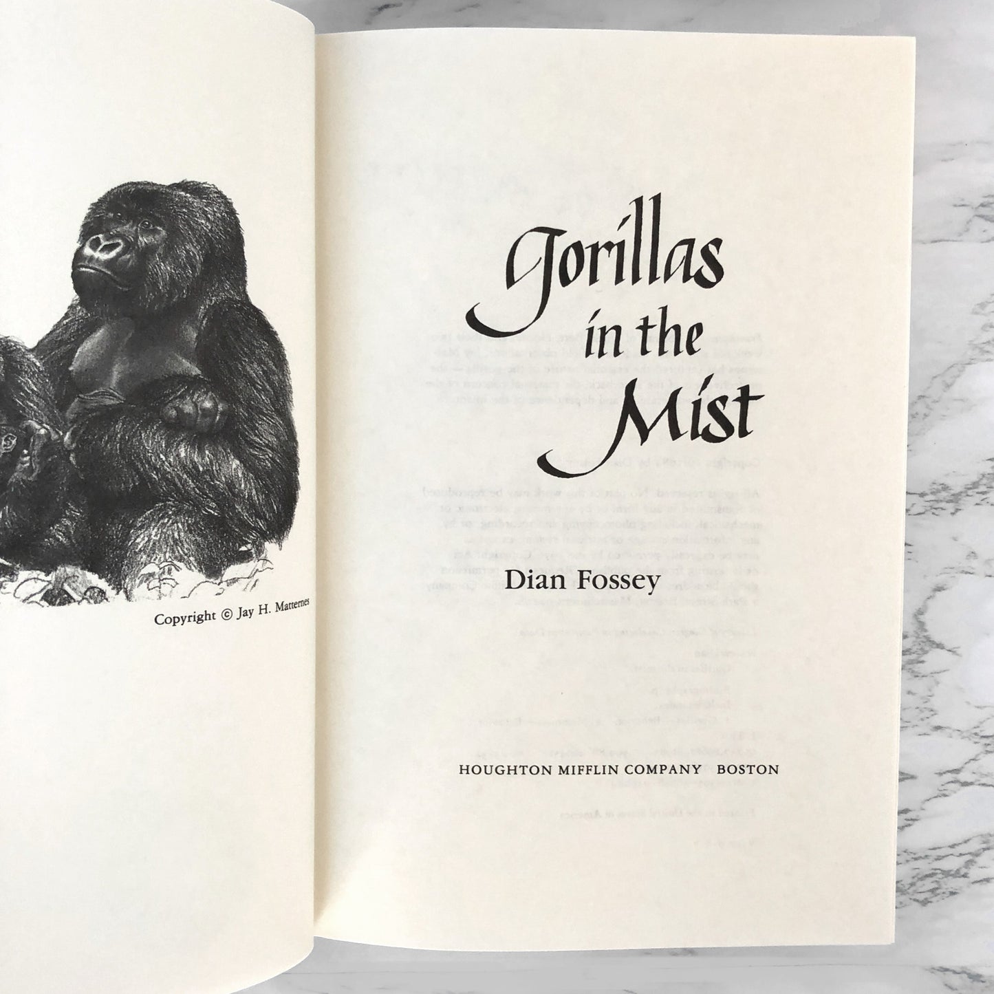 Gorillas in the Mist by Dian Fossey [FIRST EDITION] 1983 w/ Extras!