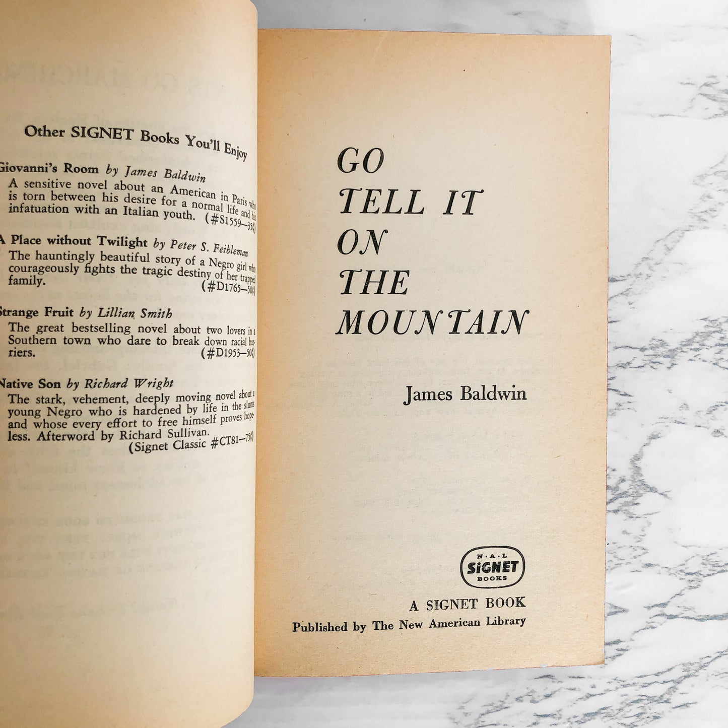 Go Tell It on the Mountain by James Baldwin [1963 PAPERBACK]
