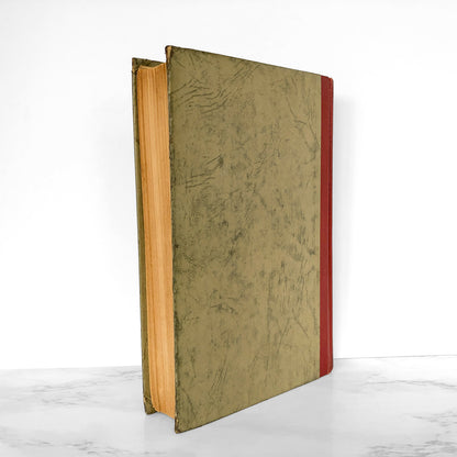 Hans Brinker or The Silver Skates by Mary Mapes Dodge [LOUIS RHEAD EDITION / 1924]