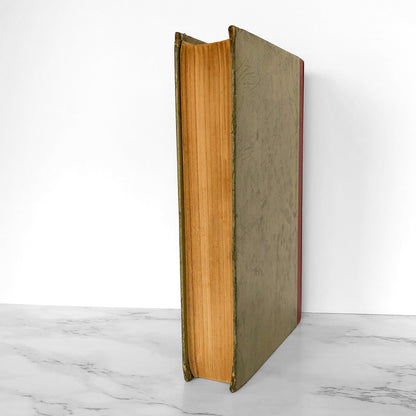 Hans Brinker or The Silver Skates by Mary Mapes Dodge [LOUIS RHEAD EDITION / 1924]