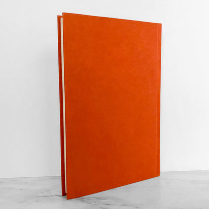 Han Solo's Revenge by Brian Daley [1979 HARDCOVER]