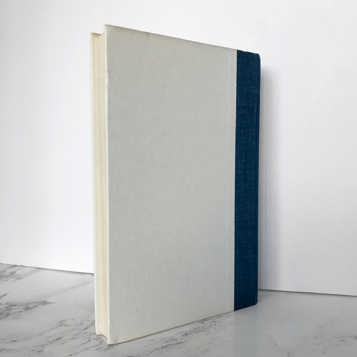 The Haunted: One Family's Nightmare by Robert Curran w. Ed & Lorraine Warren [FIRST EDITION] - Bookshop Apocalypse