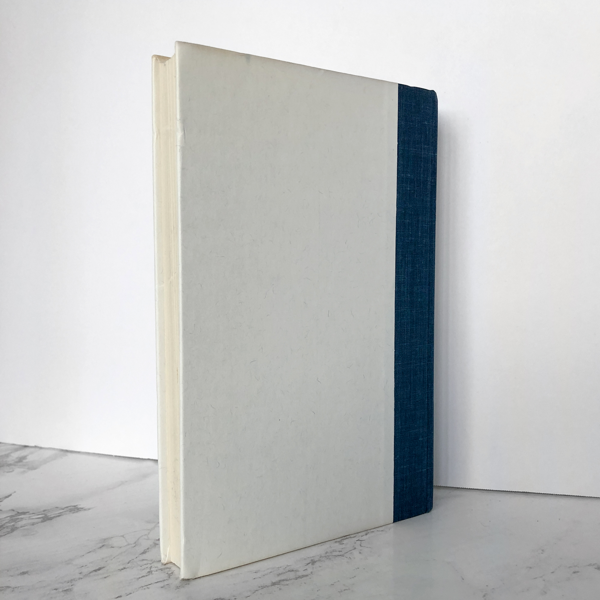 The Haunted: One Family's Nightmare by Robert Curran w. Ed & Lorraine Warren [FIRST EDITION] - Bookshop Apocalypse