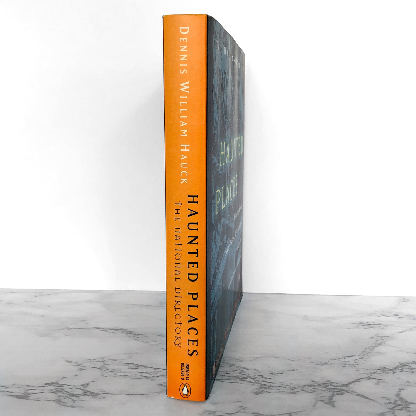 Haunted Places: The National Directory of Ghostly Abodes, Sacred Sites, UFO Landings & Other Supernatural Locations by Dennis William Hauck [1996 PAPERBACK]