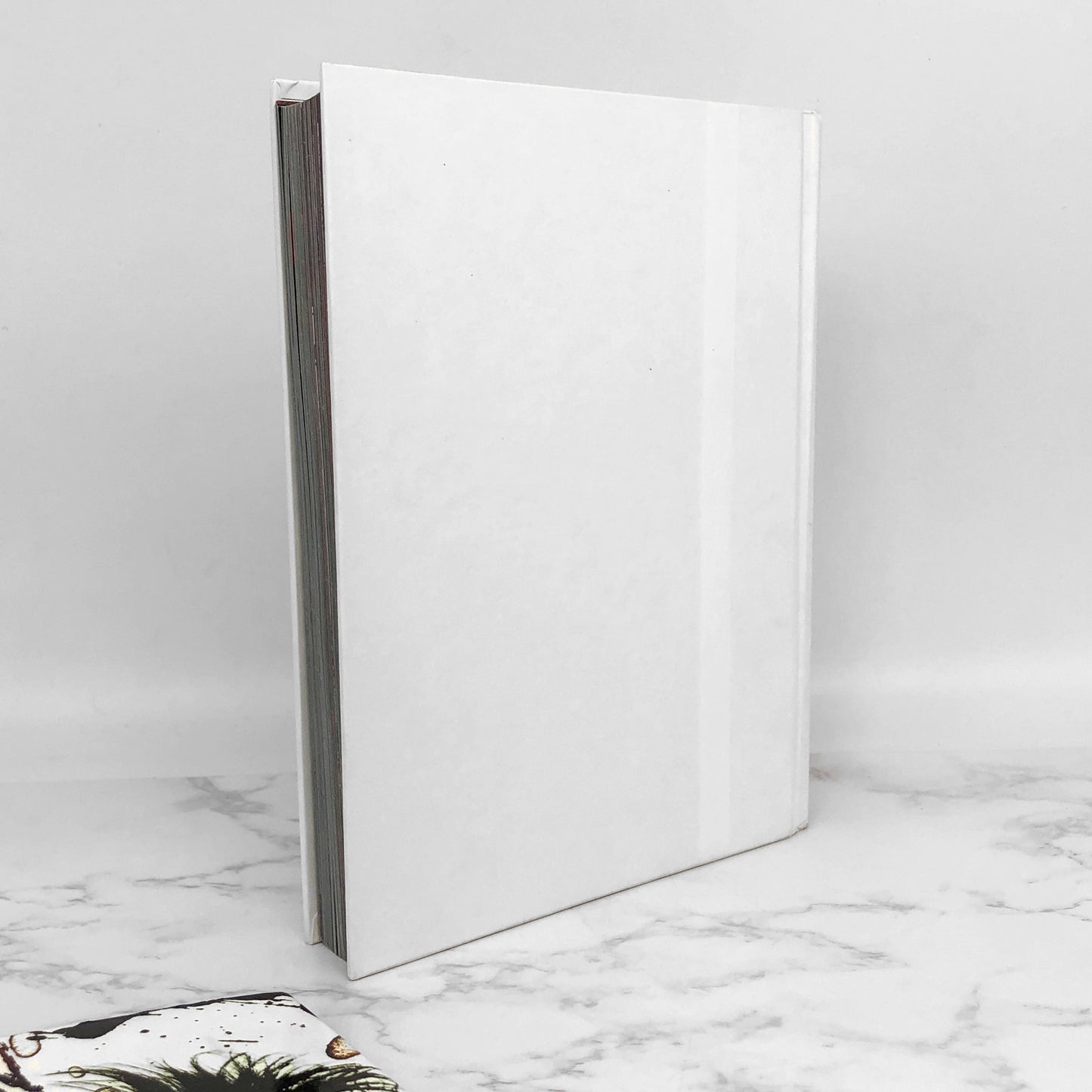 The Heroin Diaries: A Year in the Life of a Shattered Rock Star by Nikki Sixx [FIRST EDITION] 2007