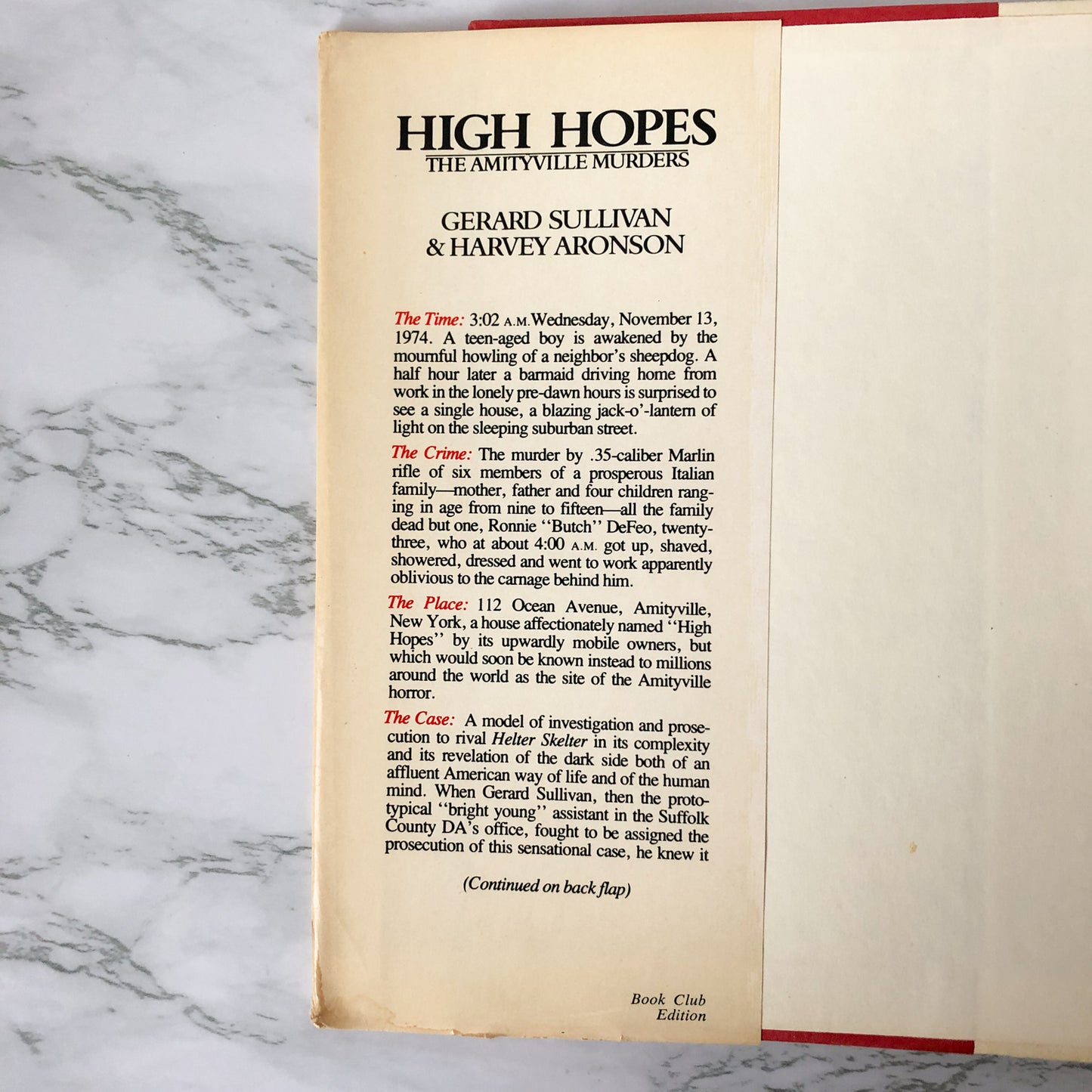 High Hopes: The Amityville Murders by Gerard Sullivan & Harvey Aronson [FIRST BC EDITION] - Bookshop Apocalypse
