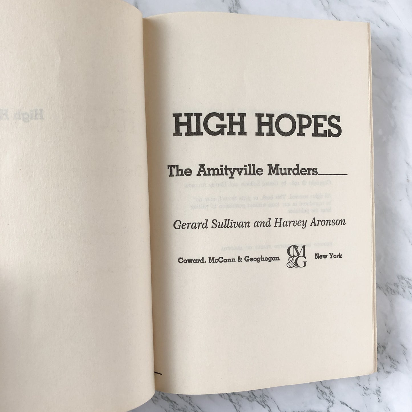 High Hopes: The Amityville Murders by Gerard Sullivan & Harvey Aronson [FIRST BC EDITION] - Bookshop Apocalypse