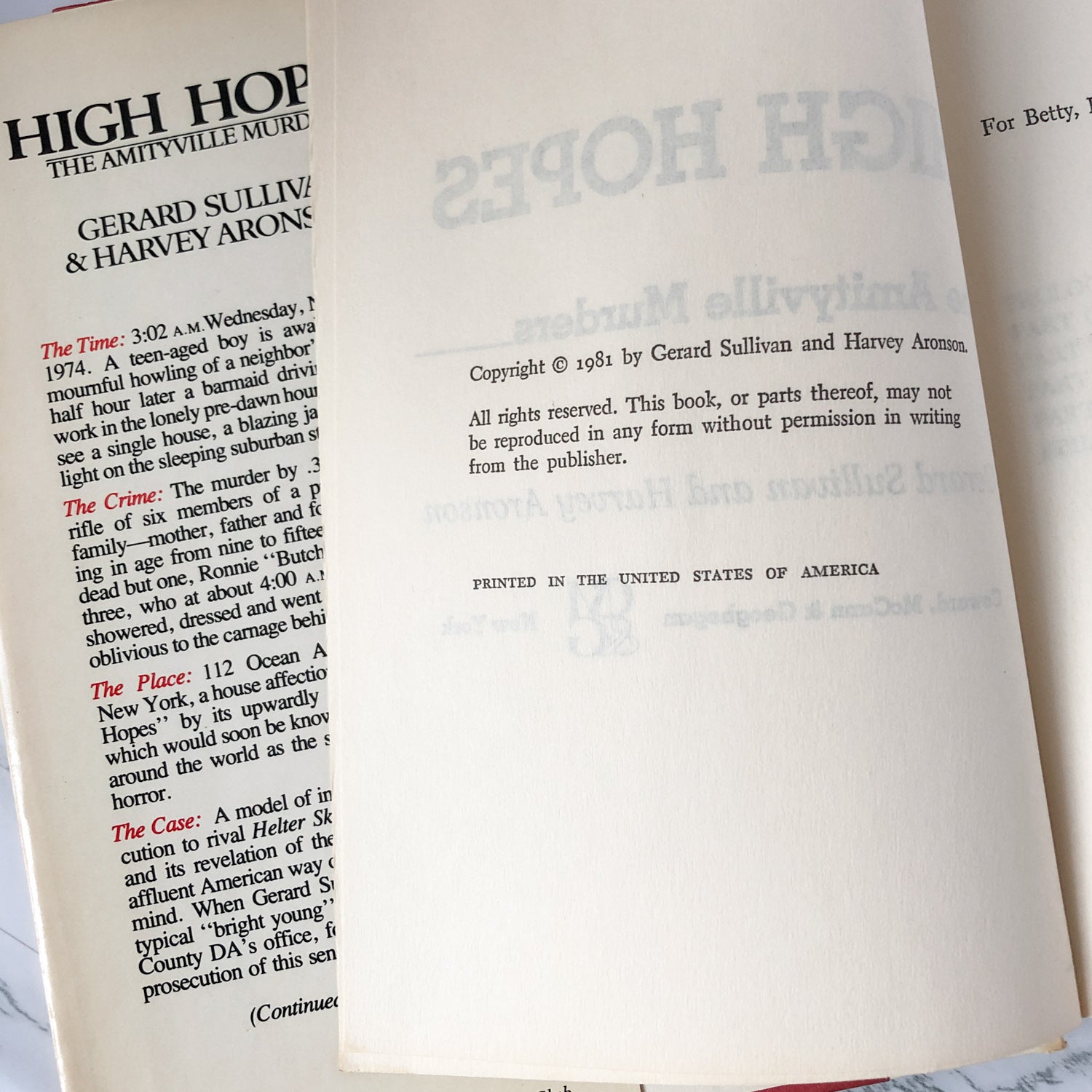 High Hopes: The Amityville Murders by Gerard Sullivan & Harvey Aronson [FIRST BC EDITION] - Bookshop Apocalypse