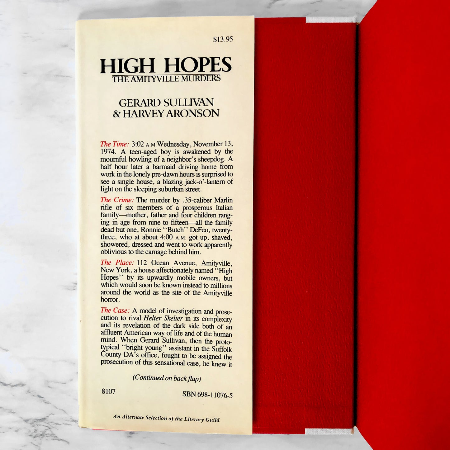 High Hopes: The Amityville Murders by Gerard Sullivan & Harvey Aronson [FIRST EDITION] 1981