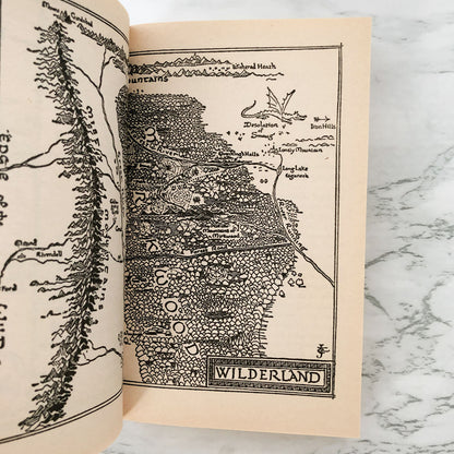 The Hobbit by J.R.R. Tolkien [1982 PAPERBACK]