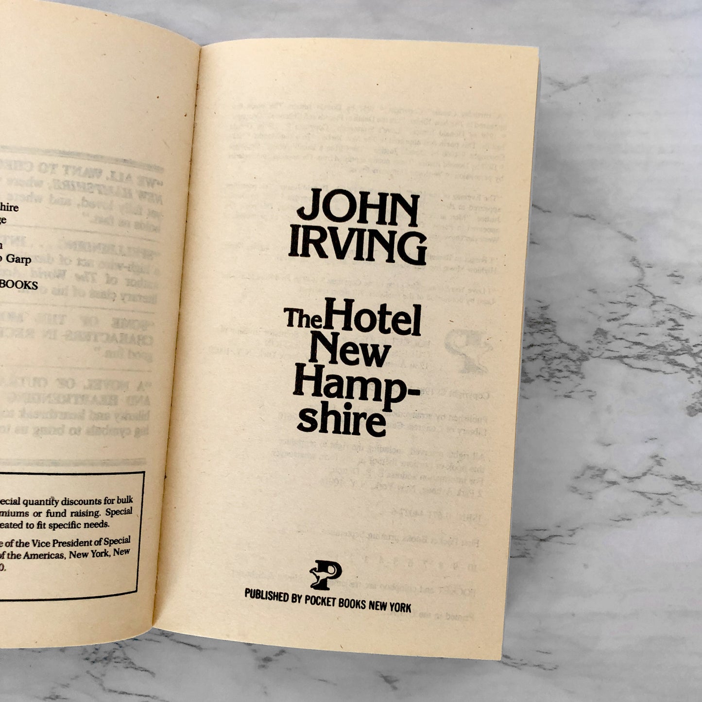 The Hotel New Hampshire by John Irving [FIRST PAPERBACK PRINTING / 1982]