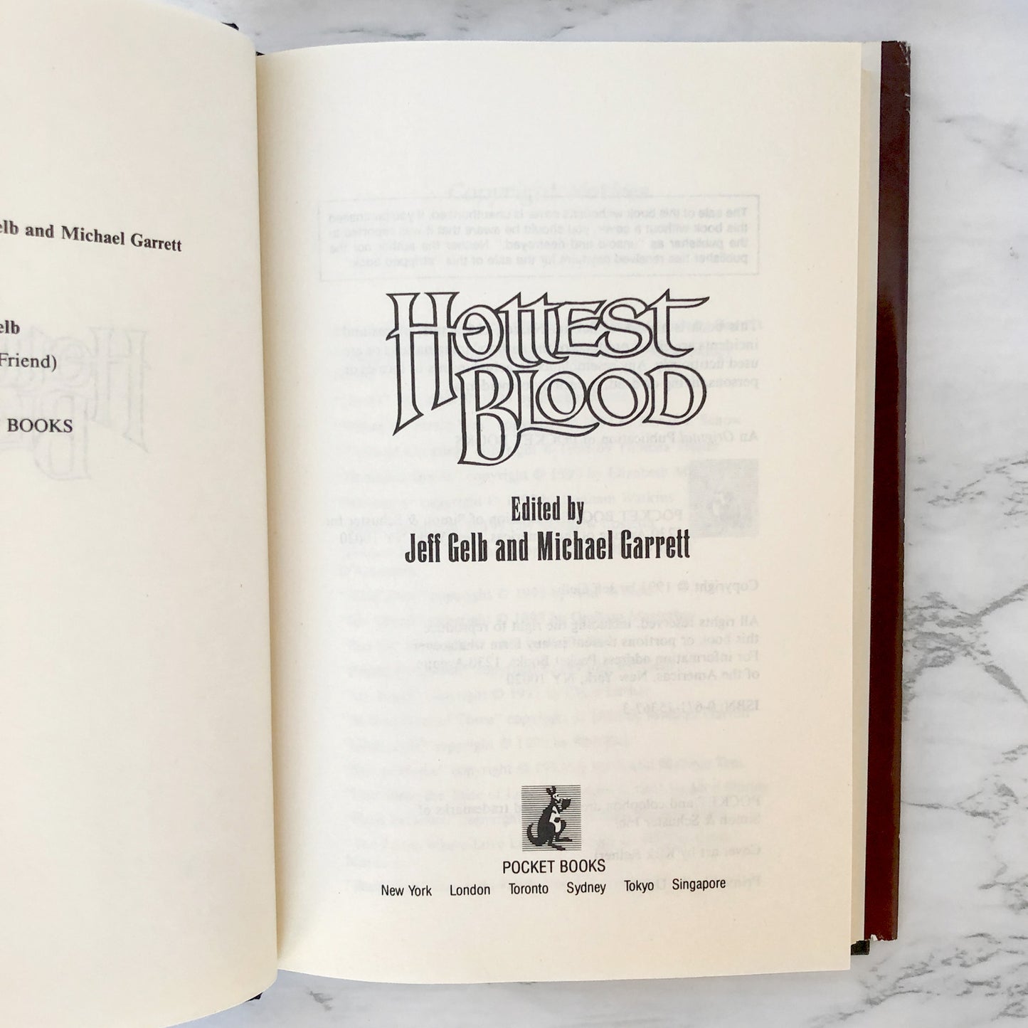 Hottest Blood edited by Jeff Geld & Michael Garrett [1993 HARDCOVER]