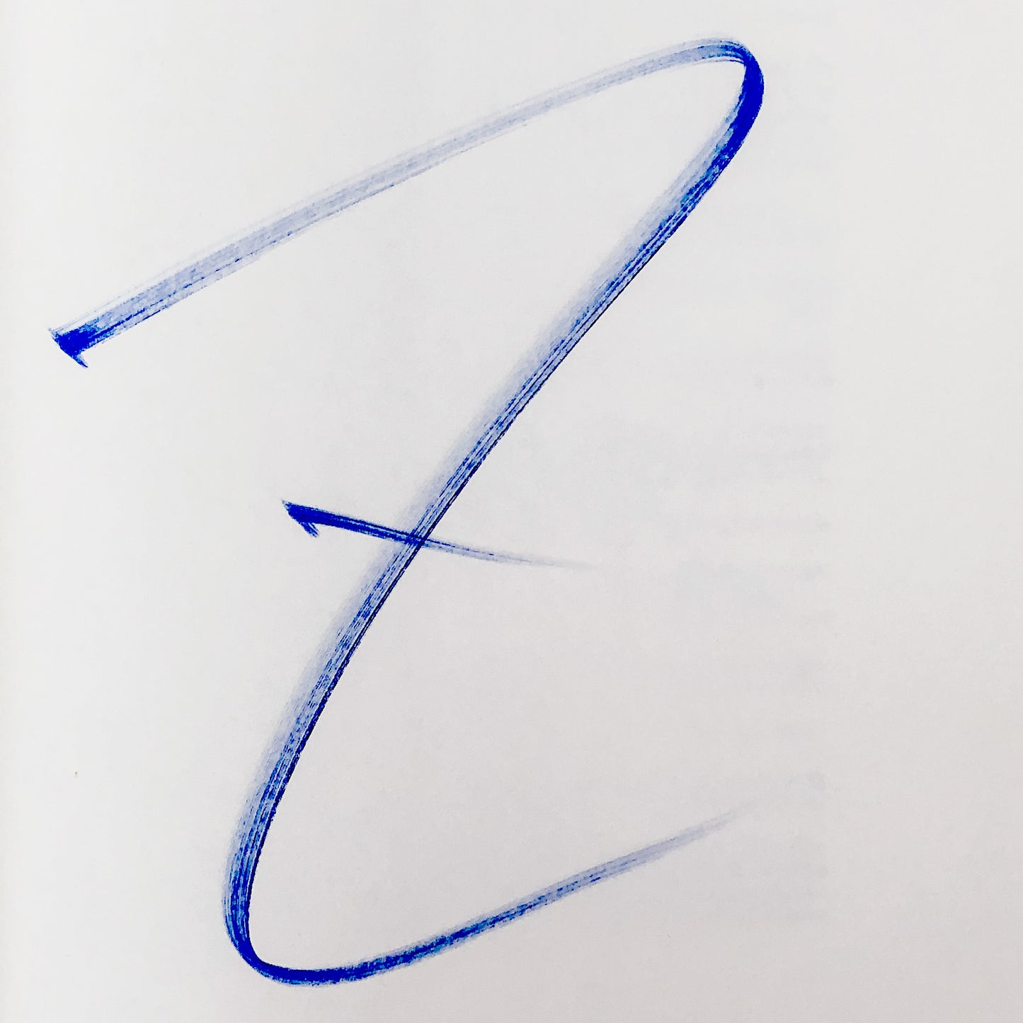 House of Leaves by Mark Z. Danielewski SIGNED! [FIRST EDITION / 2-COLOR HARDCOVER] 2000