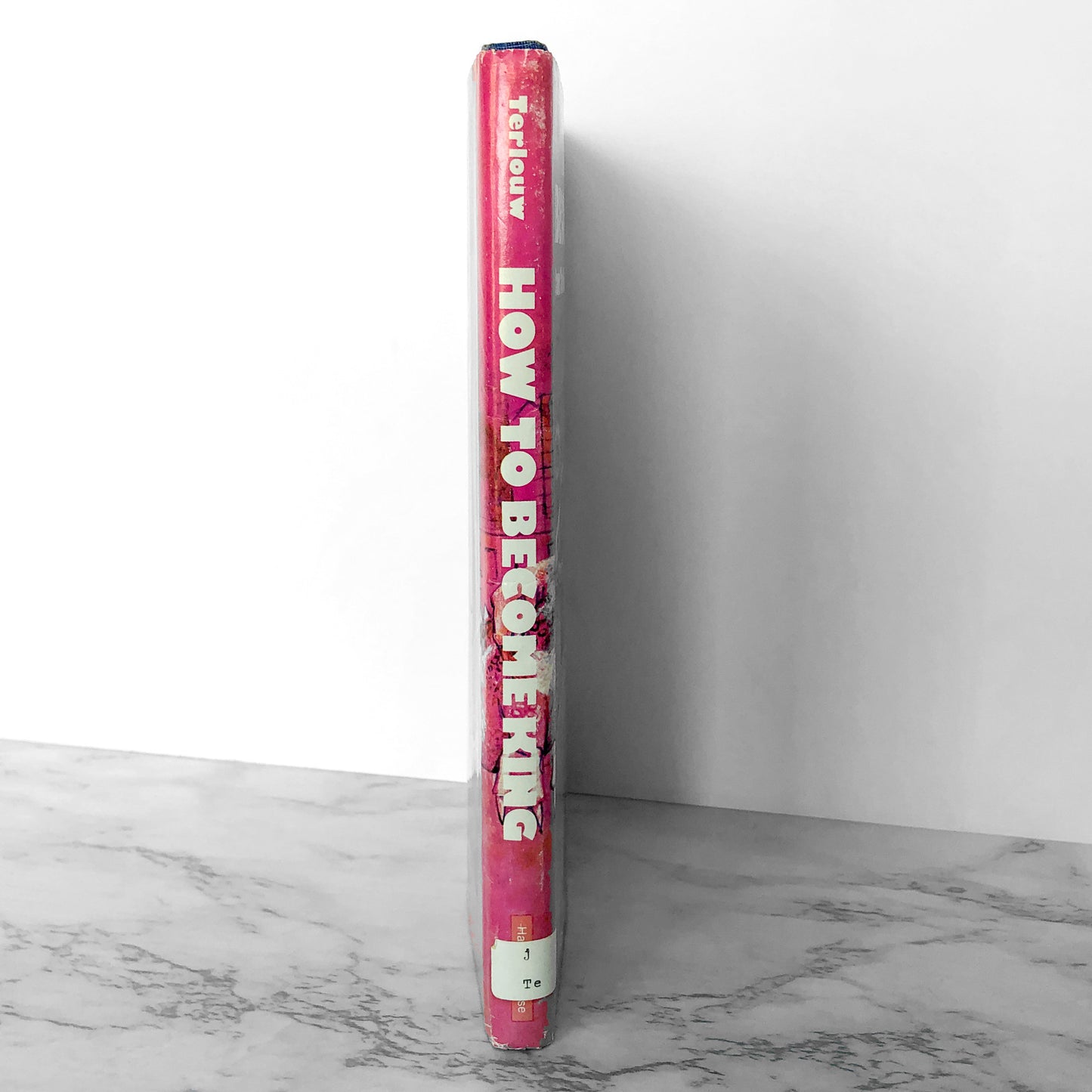 How to Become King by Jan Terlouw [U.S. FIRST EDITION] 1977