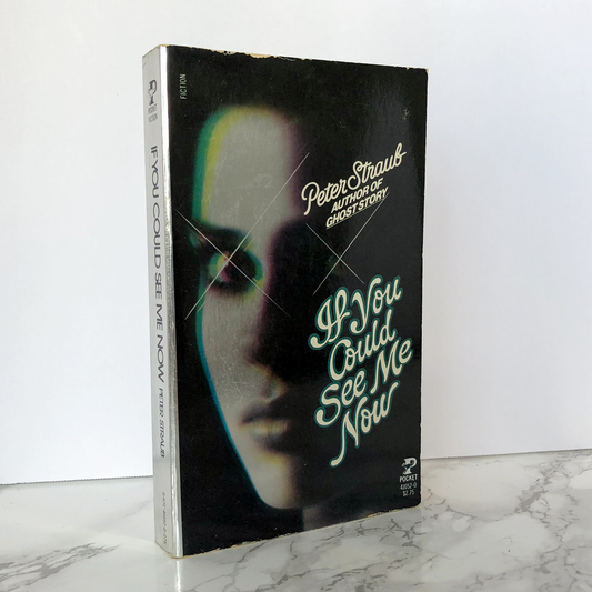 If You Could See Me Now by Peter Straub - Bookshop Apocalypse