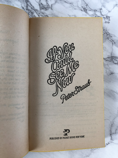 If You Could See Me Now by Peter Straub - Bookshop Apocalypse
