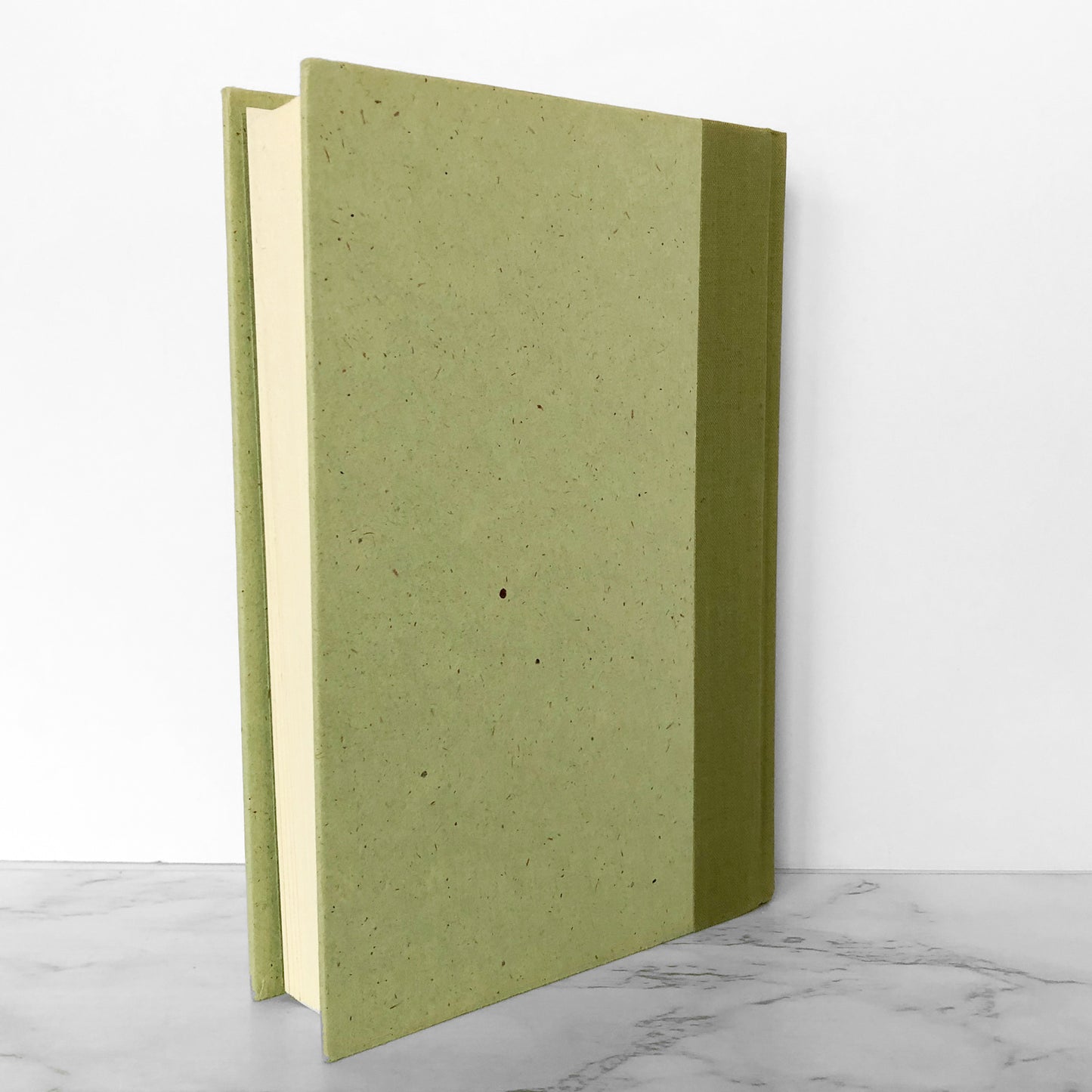 If You Could See Me Now by Peter Straub [FIRST EDITION / FIRST PRINTING] 1977