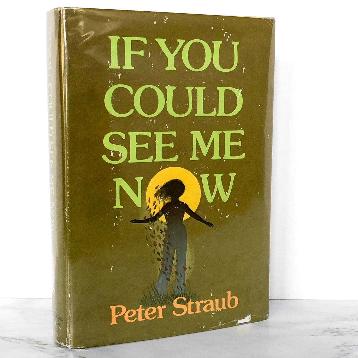 If You Could See Me Now by Peter Straub [FIRST EDITION / FIRST PRINTING] 1977