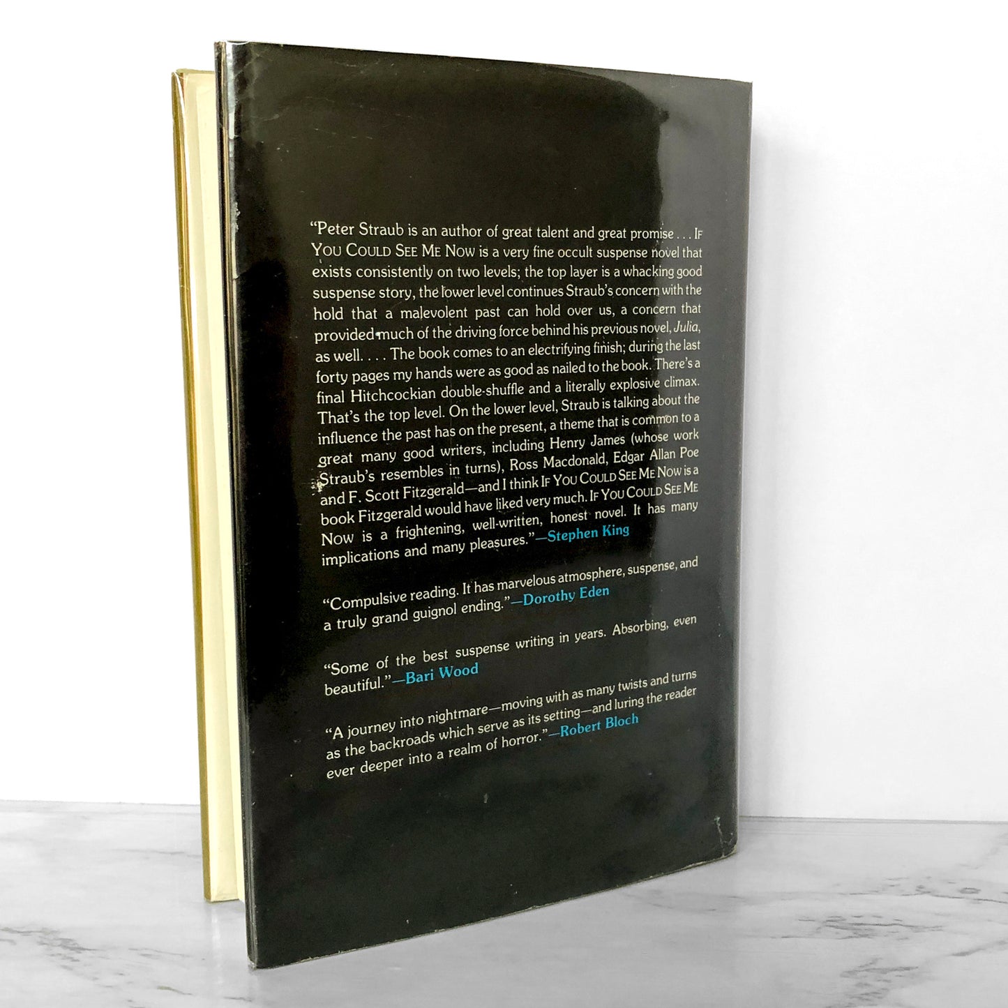 If You Could See Me Now by Peter Straub [FIRST EDITION / FIRST PRINTING] 1977