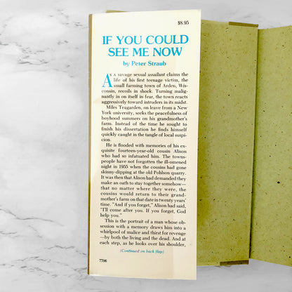 If You Could See Me Now by Peter Straub [FIRST EDITION / FIRST PRINTING] 1977