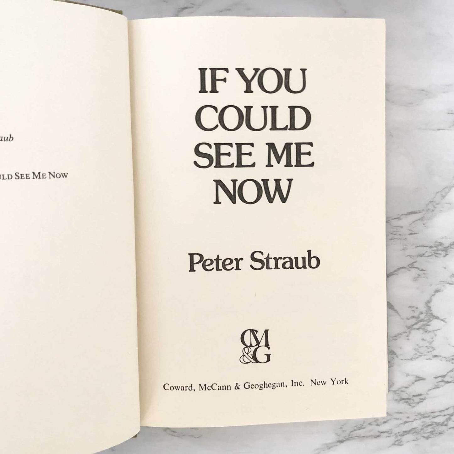 If You Could See Me Now by Peter Straub [FIRST EDITION / FIRST PRINTING] 1977