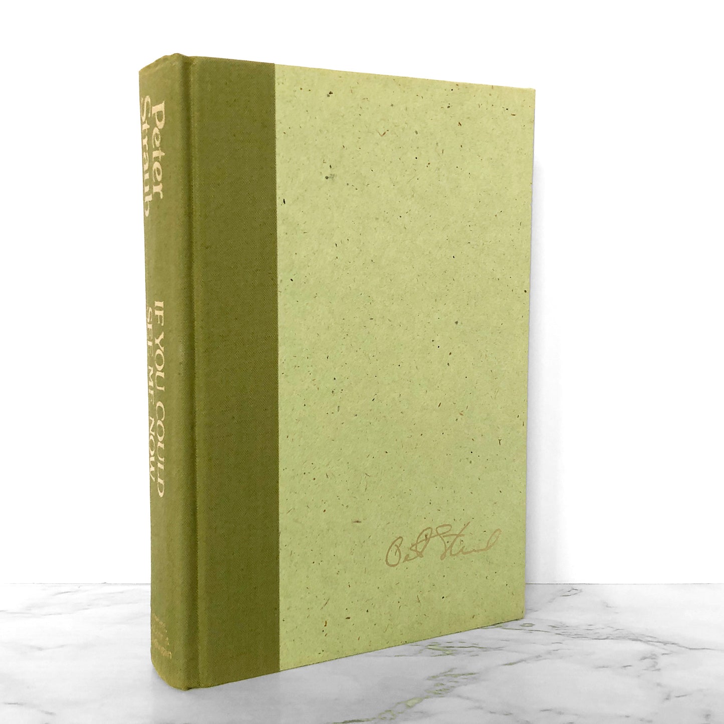 If You Could See Me Now by Peter Straub [FIRST EDITION / FIRST PRINTING] 1977