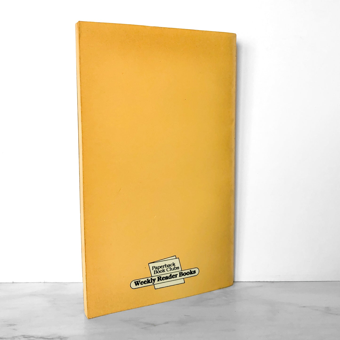 Indian Ghost Mystery by Bonnie Highsmith Taylor [1986 PAPERBACK]