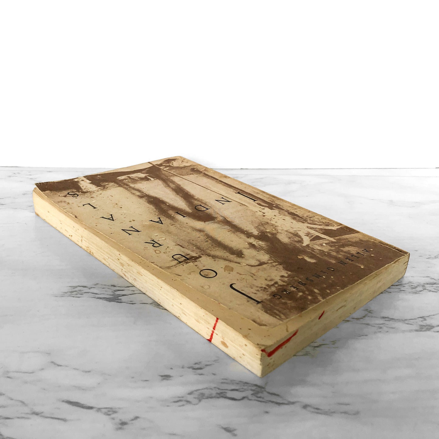 Indian Journals by Allen Ginsberg [TRADE PAPERBACK / 1970]