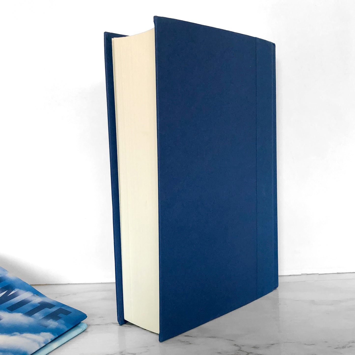 Infinite Jest by David Foster Wallace [FIRST EDITION / 1995]