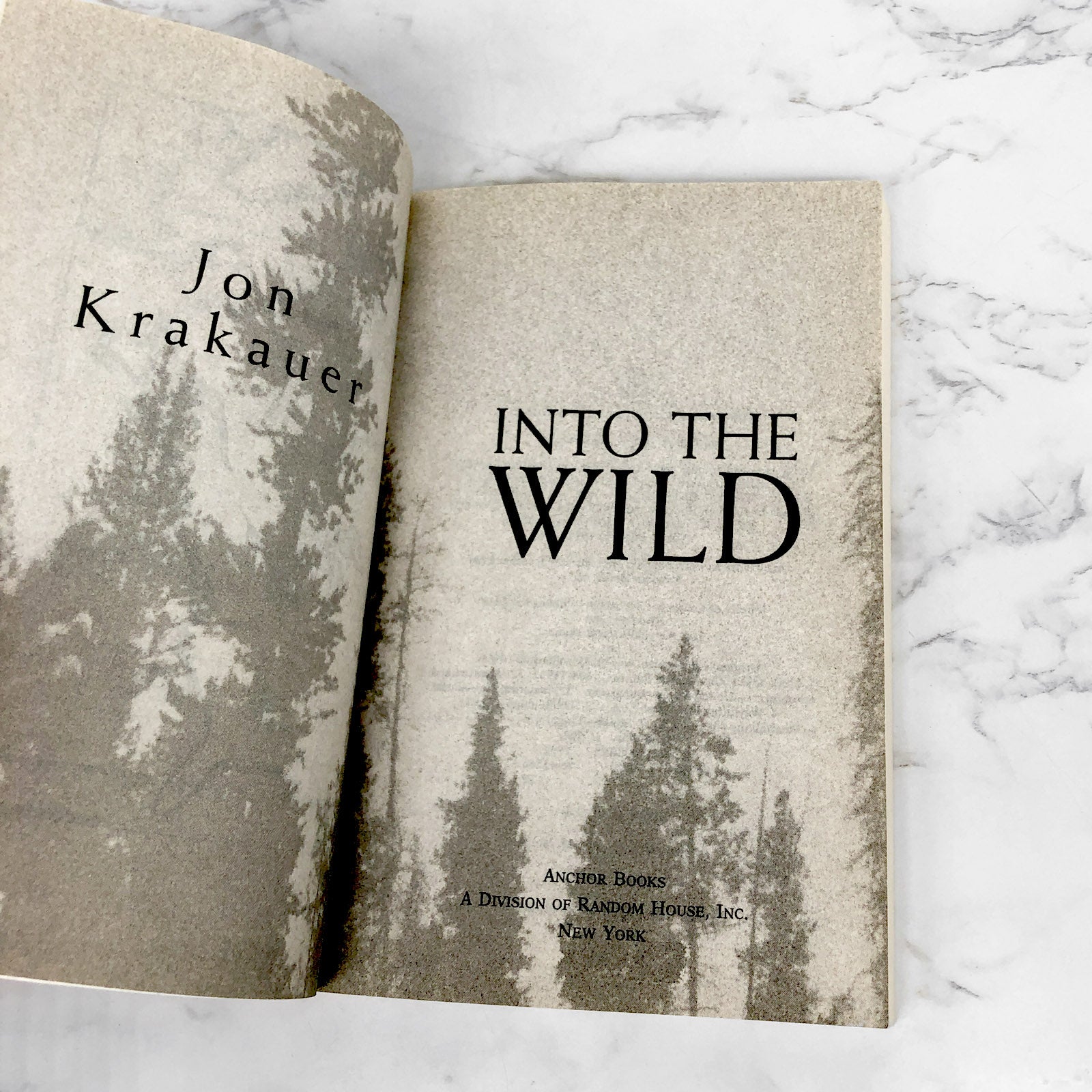 Into the Wild by Jon Krakauer, Paperback