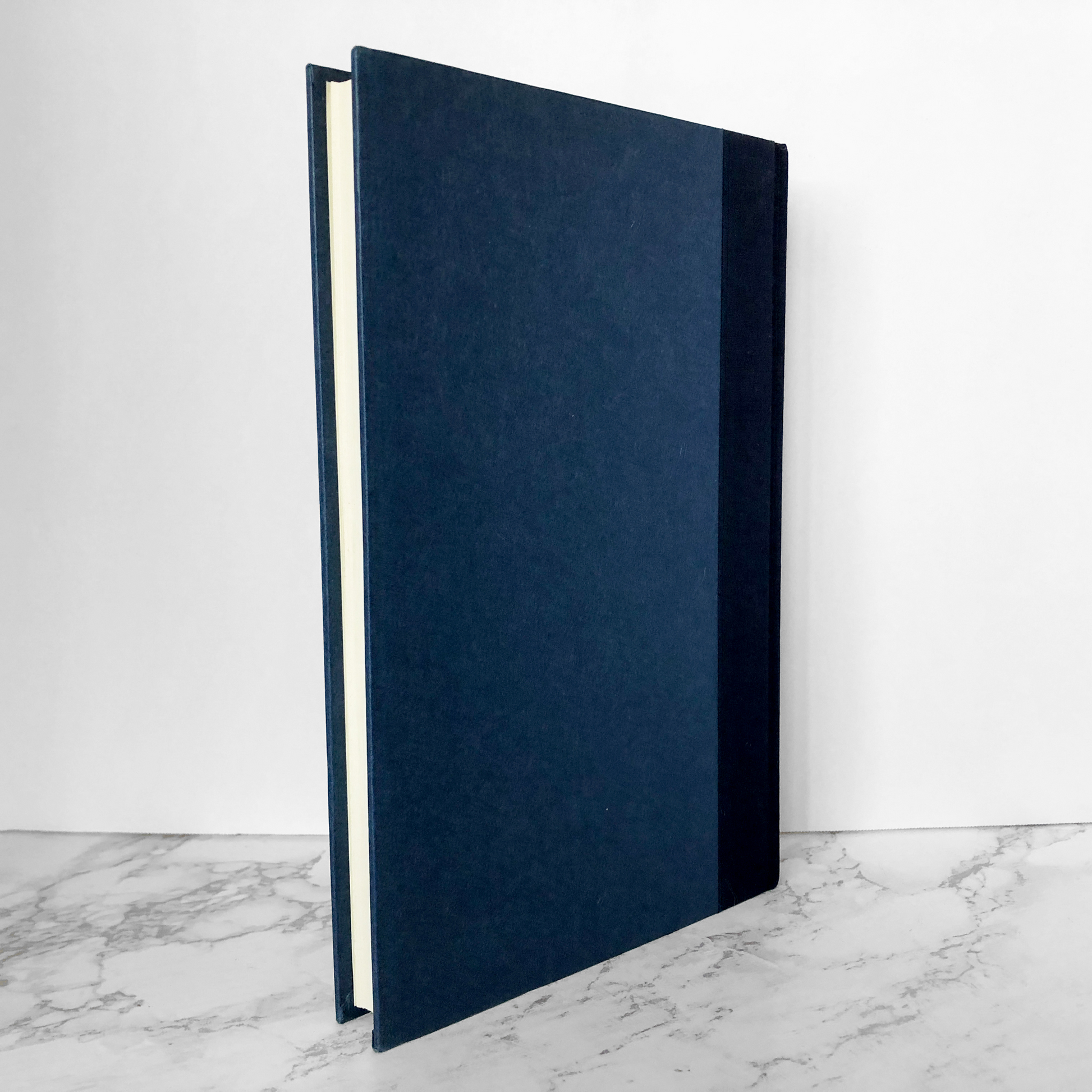 Intruders: The Incredible Visitations at Copley Woods by Budd Hopkins [FIRST EDITION] - Bookshop Apocalypse