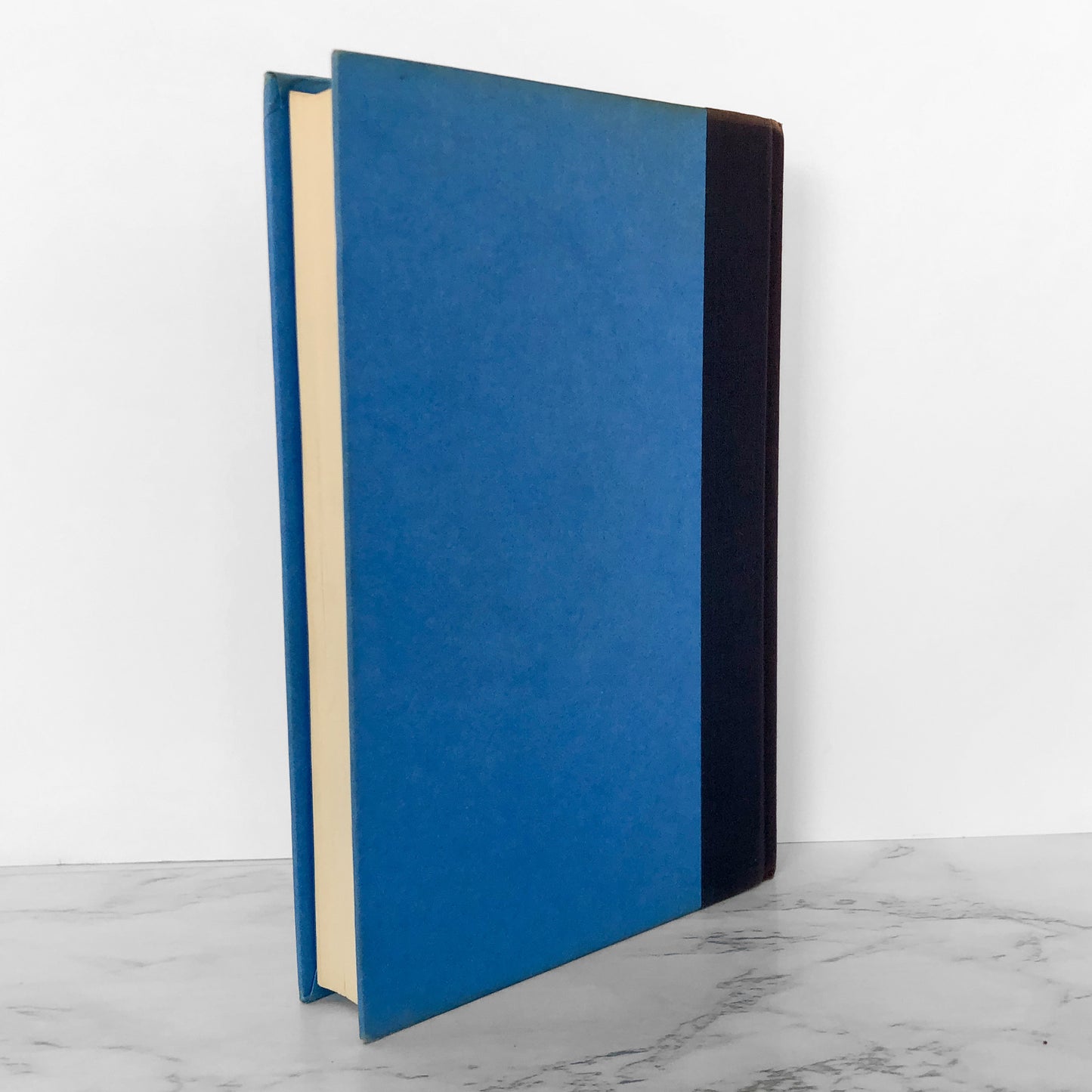 Jack in the Box by William Kotzwinkle [FIRST EDITION / FIRST PRINTING] 1980