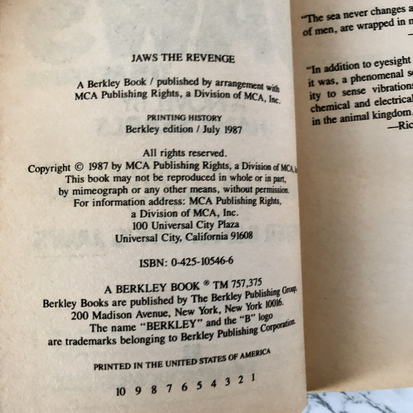 Jaws: The Revenge by Hank Searls [1987 MOVIE TIE-IN PAPERBACK] - Bookshop Apocalypse