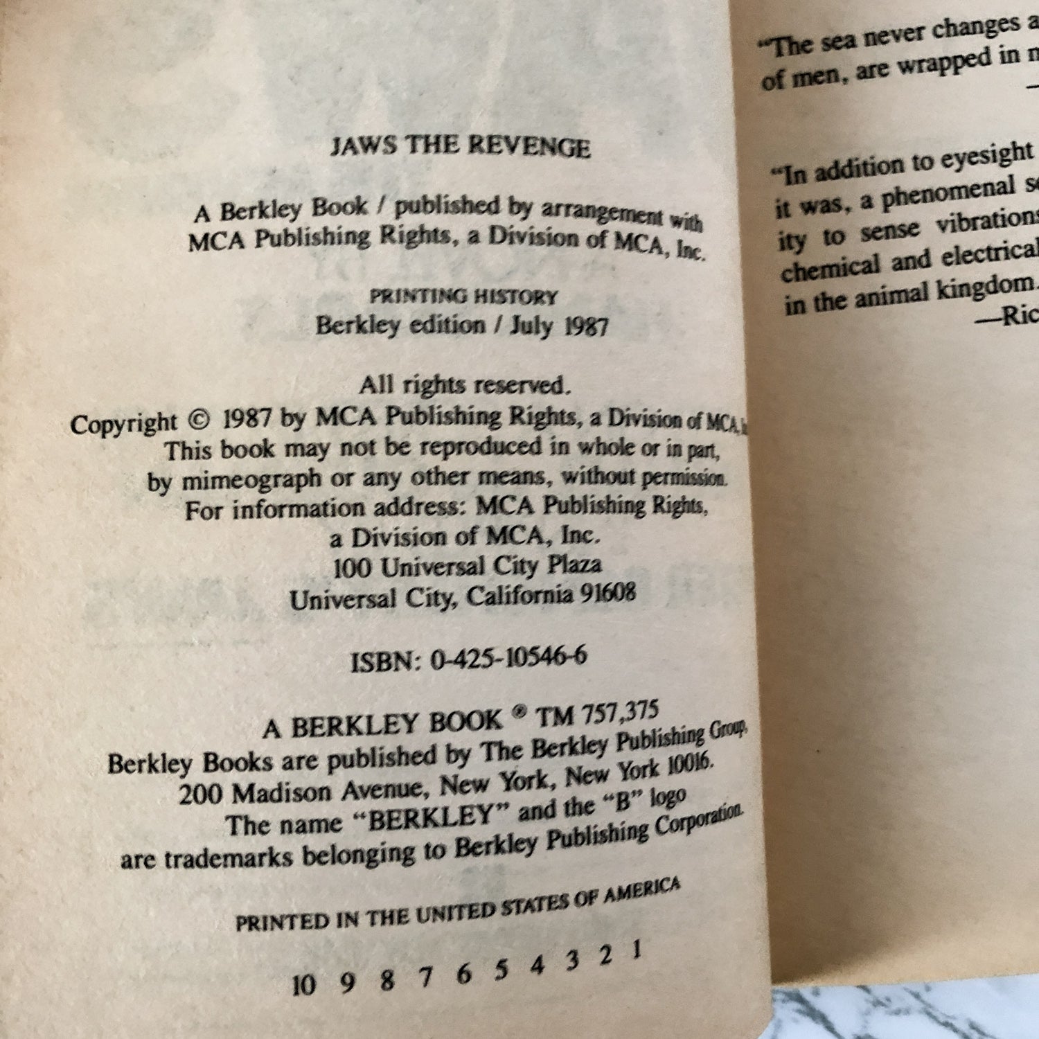 Jaws: The Revenge by Hank Searls [1987 MOVIE TIE-IN PAPERBACK] - Bookshop Apocalypse