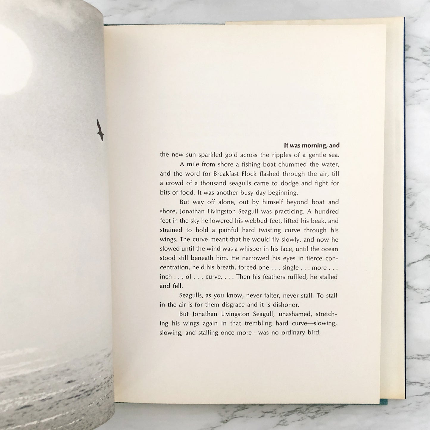 Jonathan Livingston Seagull by Richard Bach SIGNED! [FIRST EDITION / 1972]