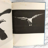 Jonathan Livingston Seagull by Richard Bach SIGNED & DOODLED! [FIRST EDITION]