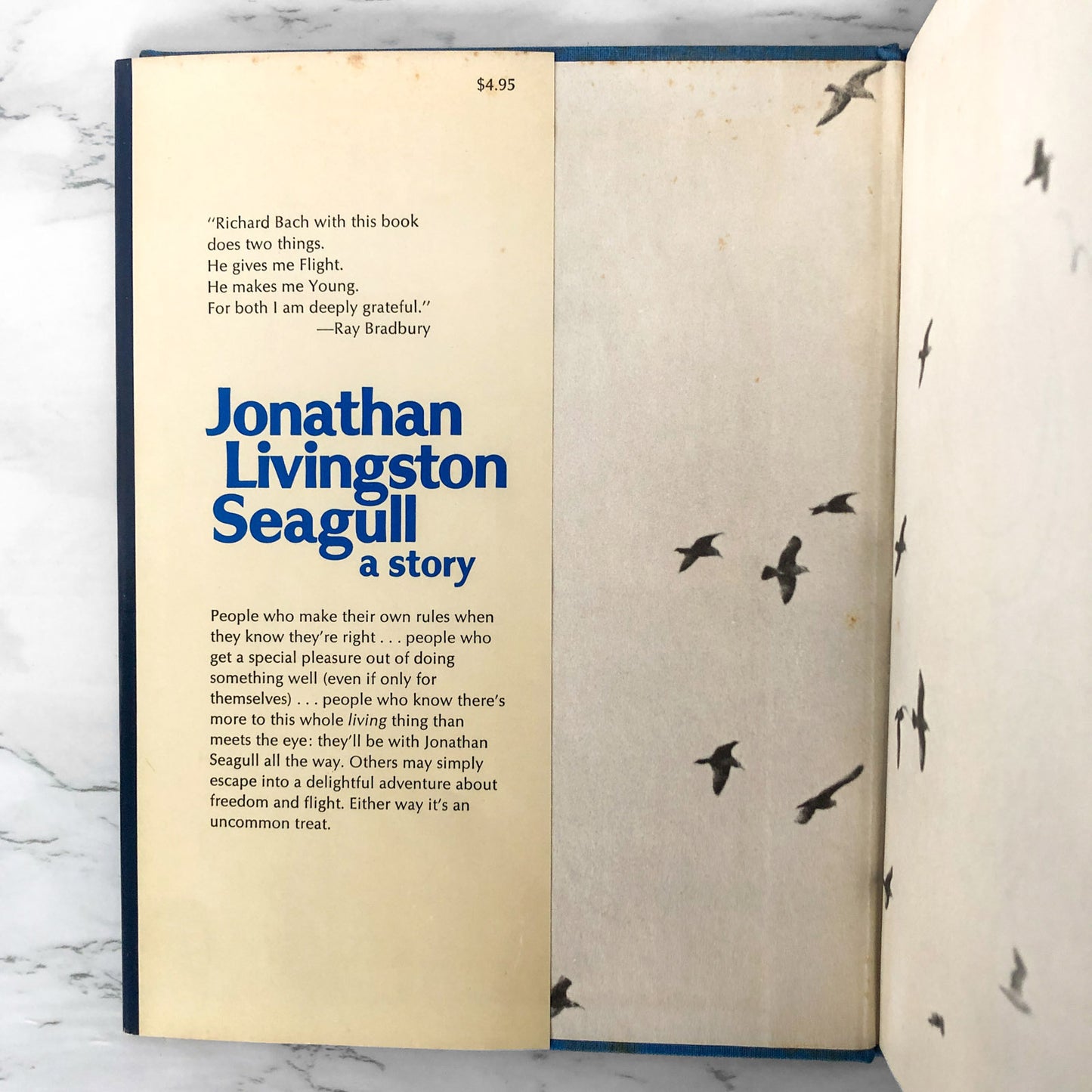 Jonathan Livingston Seagull by Richard Bach SIGNED & DOODLED! [FIRST EDITION]